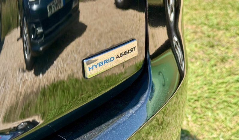 RENAULT GRAND SCENIC 1.5 HYBRID ASSIST completo